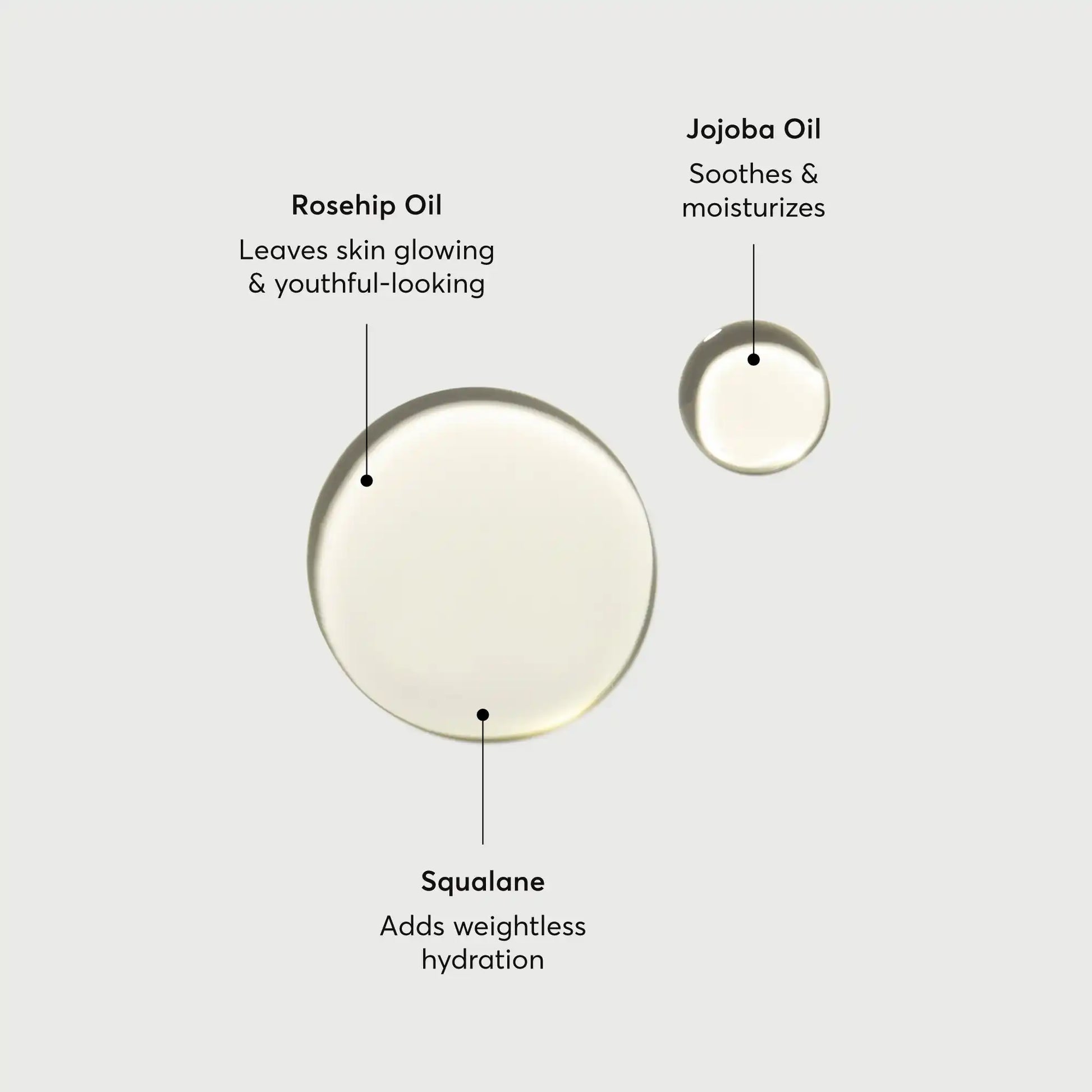 the-glow-getter-body-oil-o2 NATR-10115-Alt-Images-The-Glow-Getter-Body-Oil-01.webp