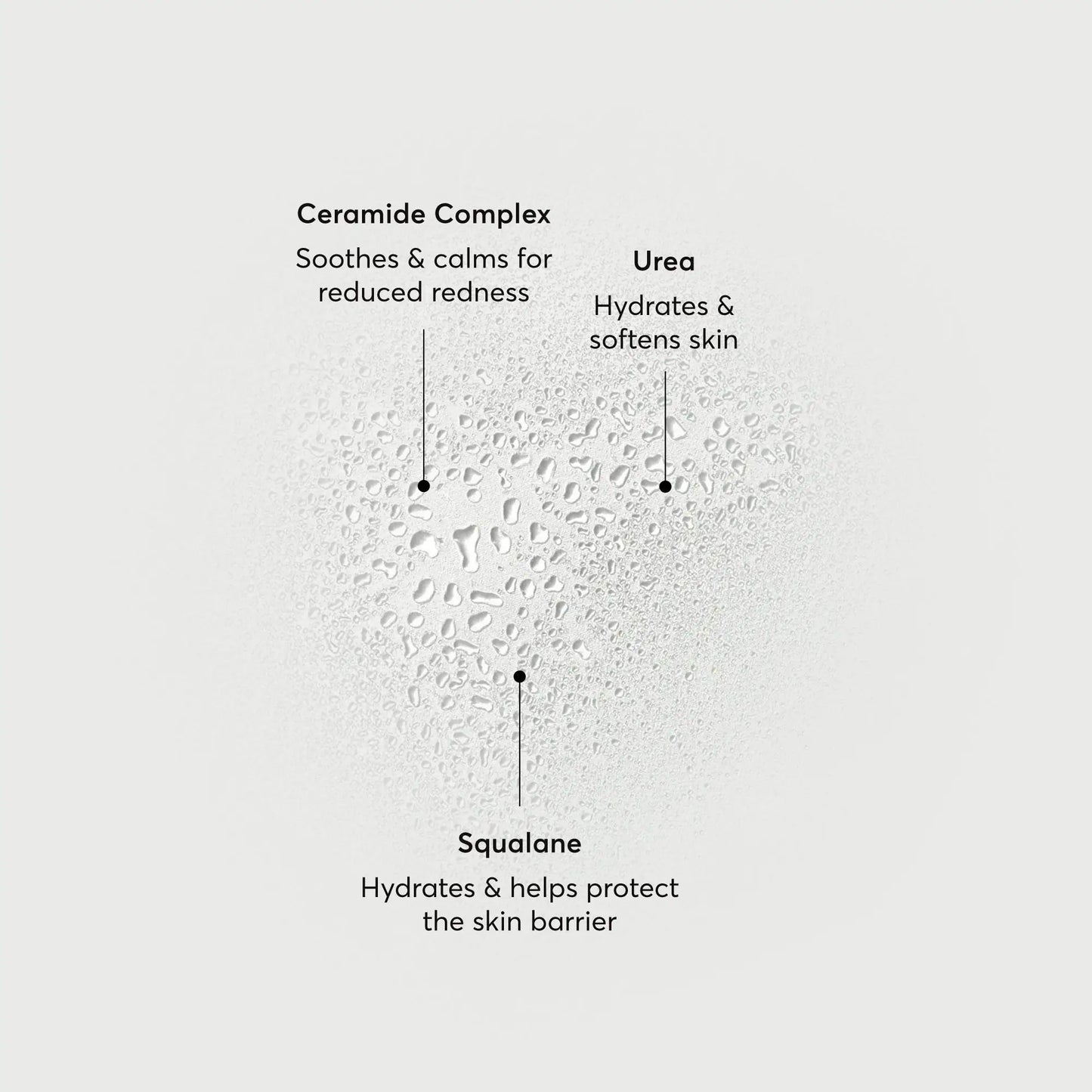 barrier-bounce-bi-phase-mist-f7 NATR-10167-Alt-Images-Barrier-Bounce-Bi-Phase-Toner-Mist_01.webp