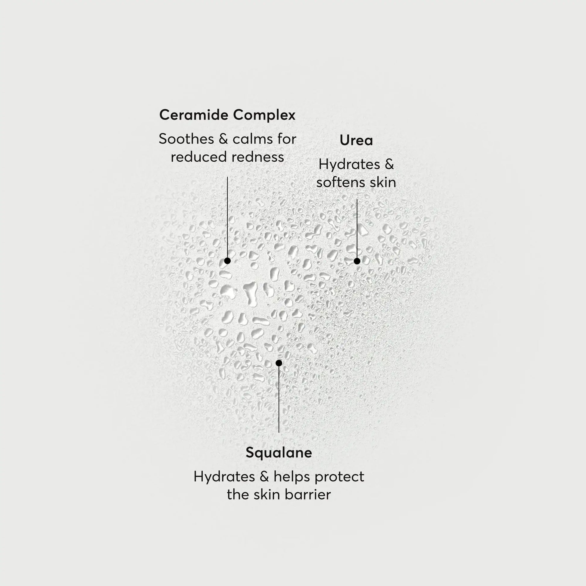 barrier-bounce-bi-phase-mist-f7 NATR-10167-Alt-Images-Barrier-Bounce-Bi-Phase-Toner-Mist_01.webp