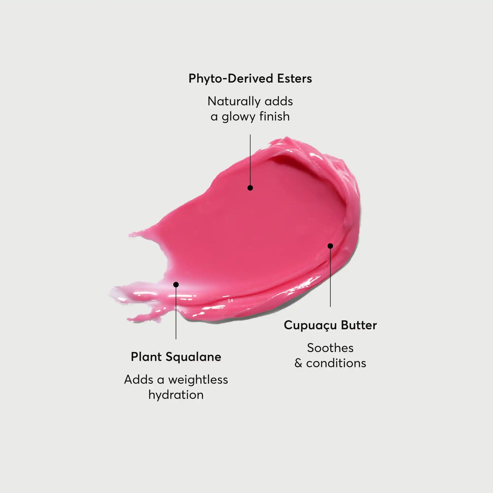 phyto-glow-lip-balm-camellia-f9 NATR-60075-Alt-Images-Phyto-Glow-Lip-Balm-Camellia-01.webp